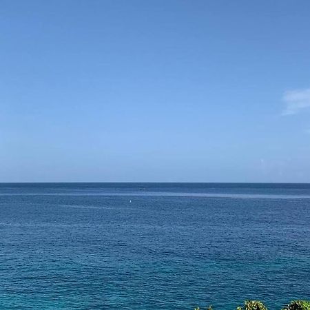 Вилла Irie Vibes Ocean View Негрил Экстерьер фото